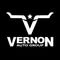 Vernon Auto Group profile picture